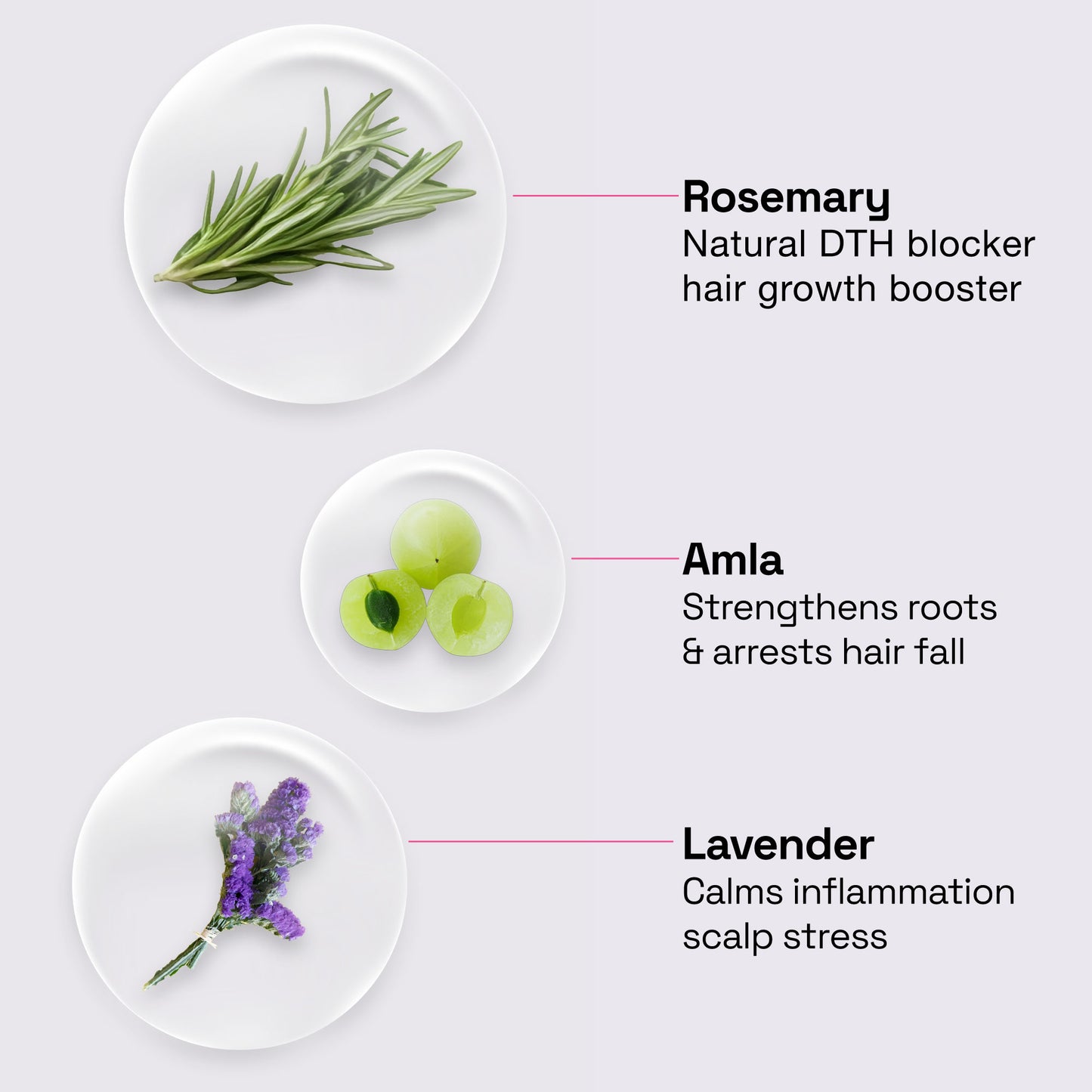 Rosemary Lavender Healthy Hair Oil