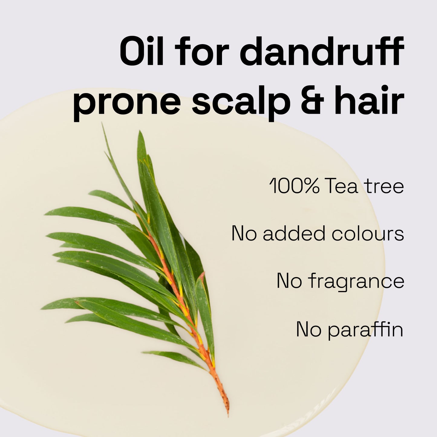 Soulflower Tea Tree Hair Oil For Scalp & Dandruff